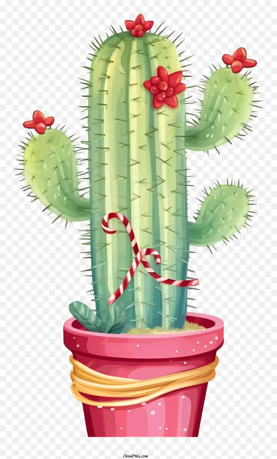Cactus，Pot Rose PNG