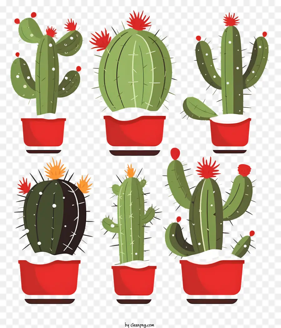 Cactus，Pots PNG