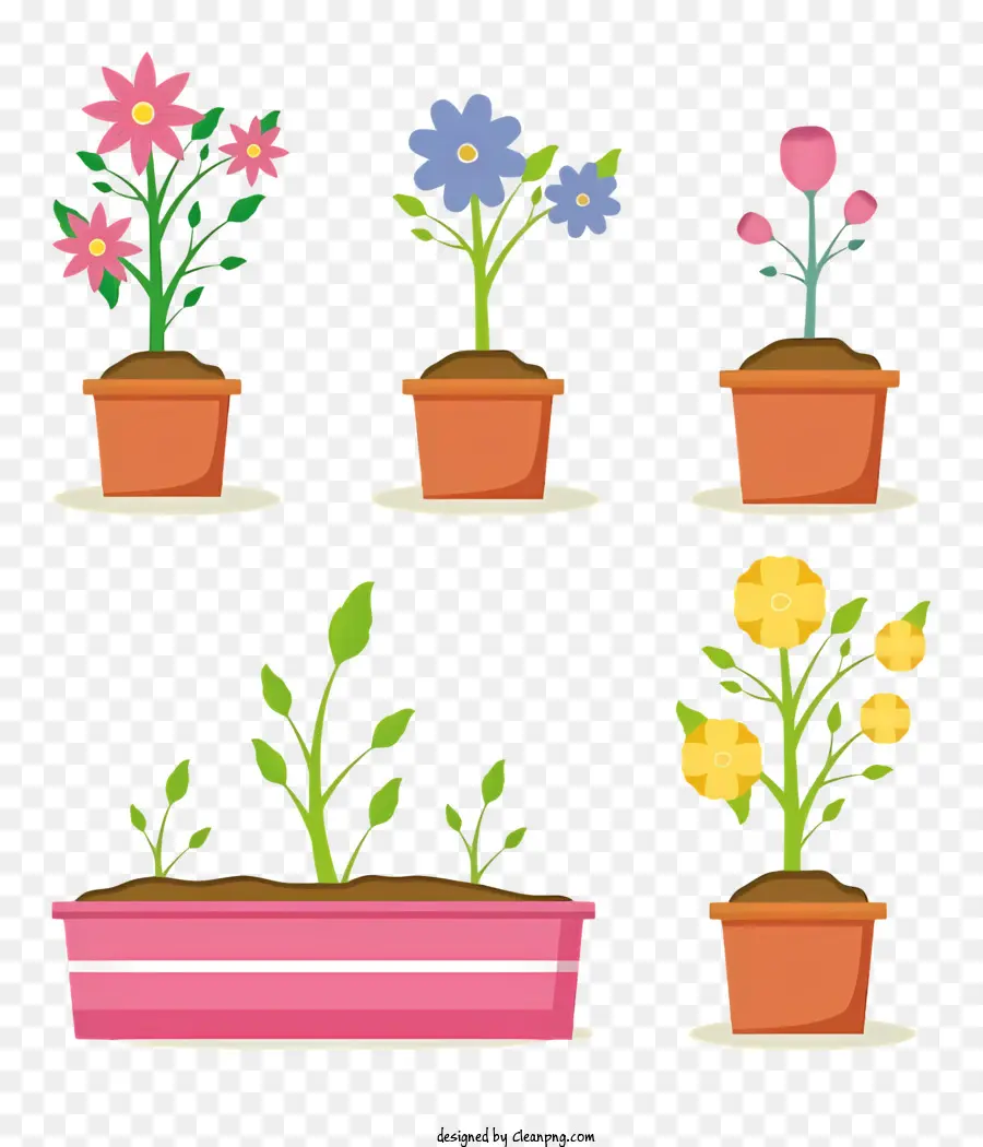 Arrangements De Fleurs，Les Plantes En Pot PNG