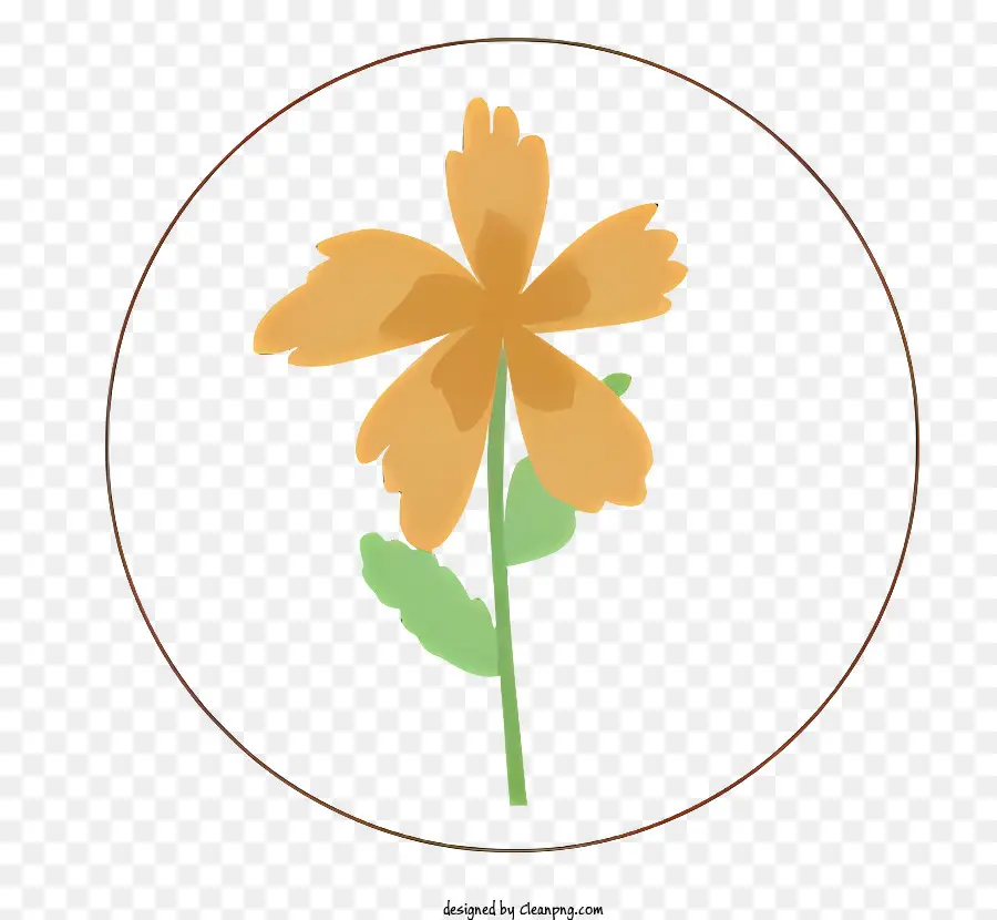 La Fleur D'oranger，Fleur Unique PNG