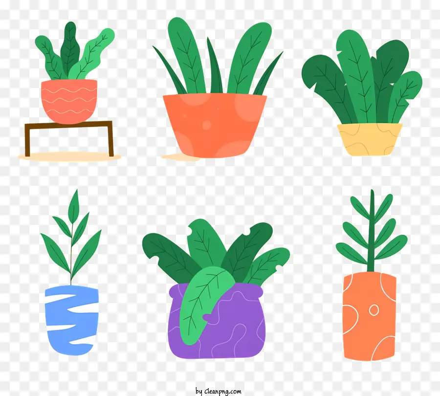 Les Plantes De Maison，Les Plantes En Pot PNG