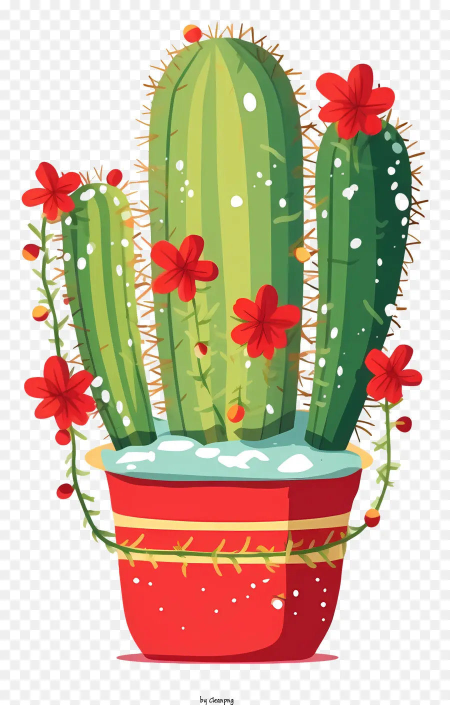 Plante De Cactus，Cactus PNG