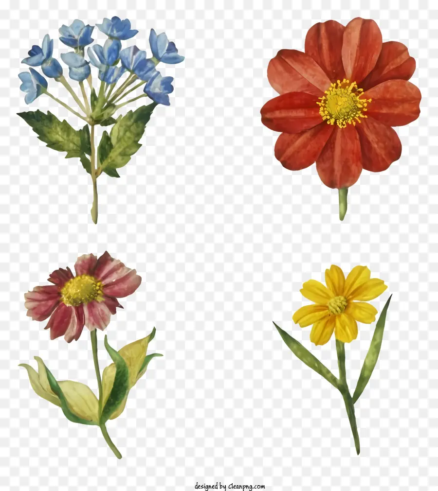 Bouquet De Fleurs，Fleurs PNG