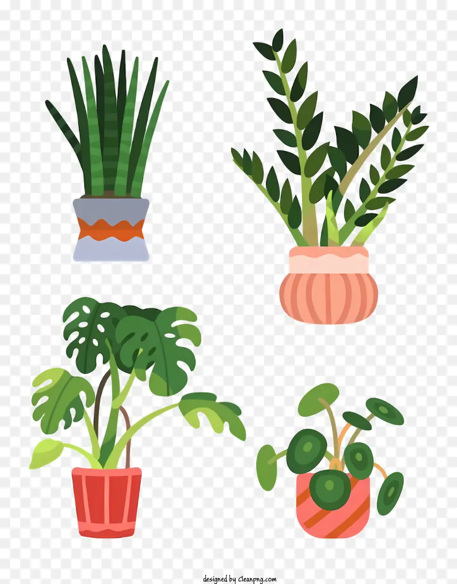 Plantes D'intérieur，Plantes En Pot PNG