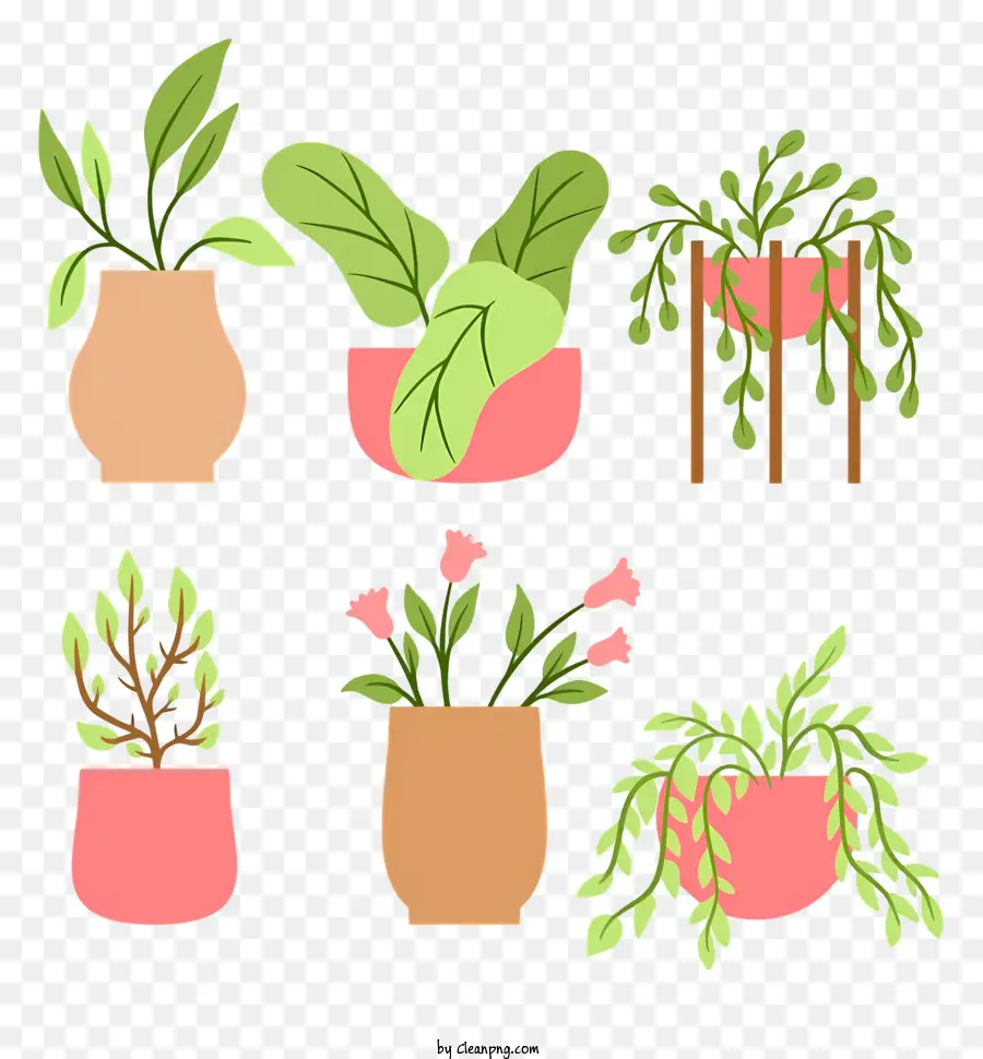 Plantes En Pot，Pots De Fleurs PNG