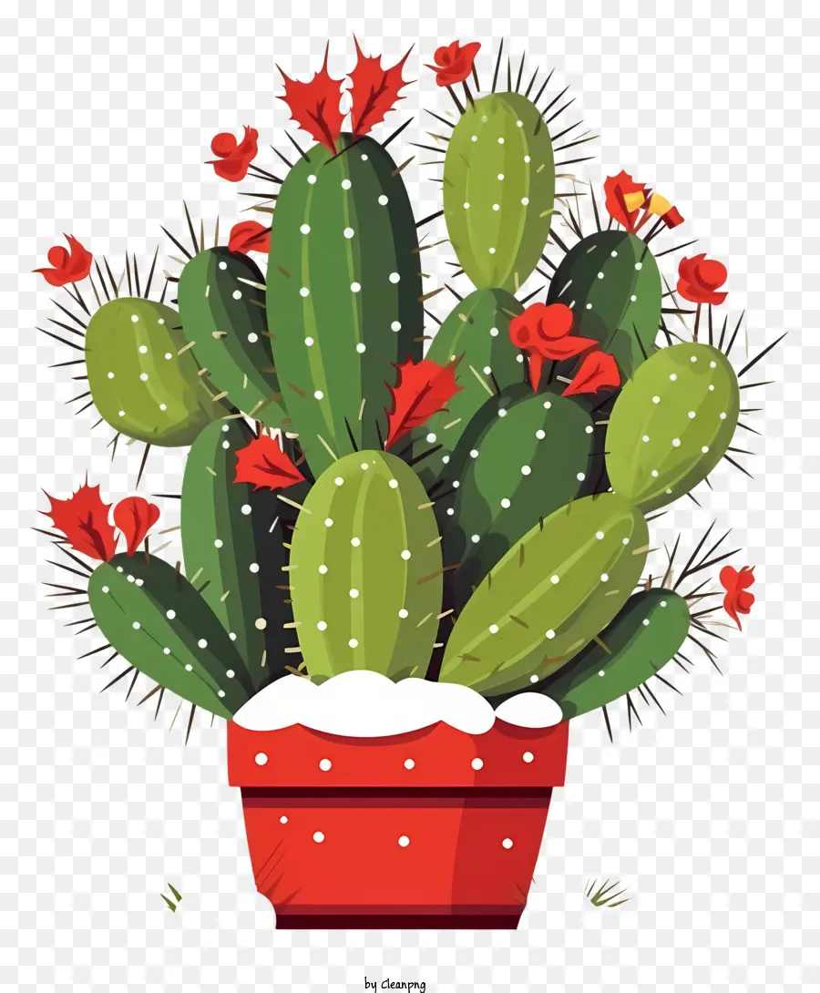 Cactus Rouge，La Floraison Des Fleurs PNG