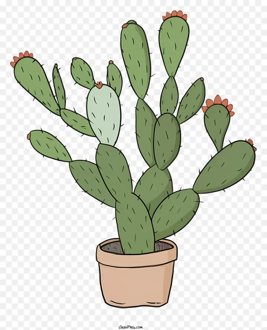 Dessin Animé De Cactus，Petits Pots PNG