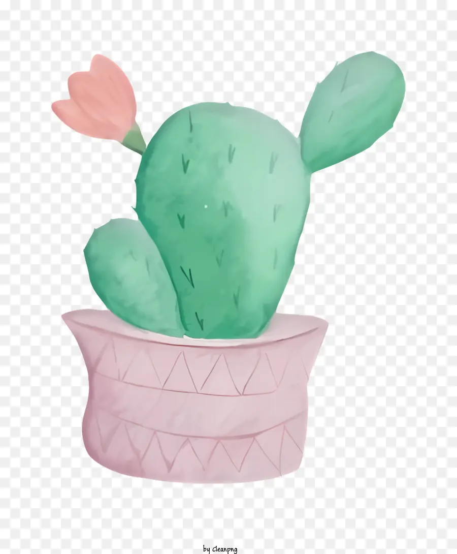 Petit Cactus En Pot，Fleur Rose PNG