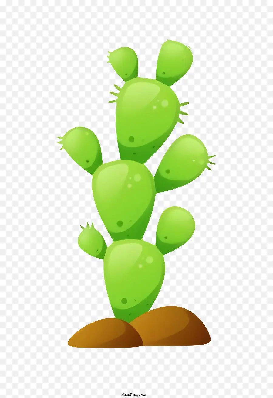 Vert Cactus，Feuilles De Cactus PNG