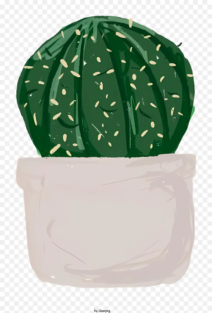 Cactus，Pot En Céramique Blanc PNG