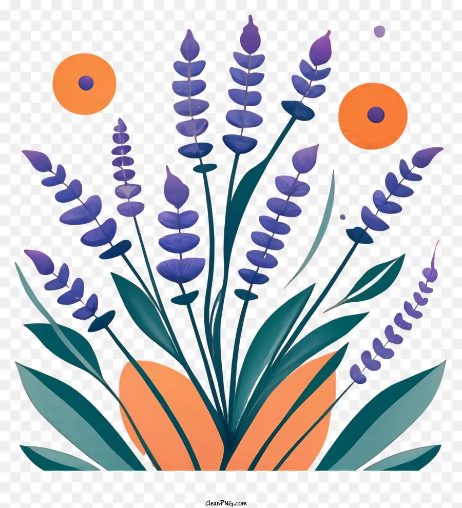 Fleurs De Lavande，Violet PNG