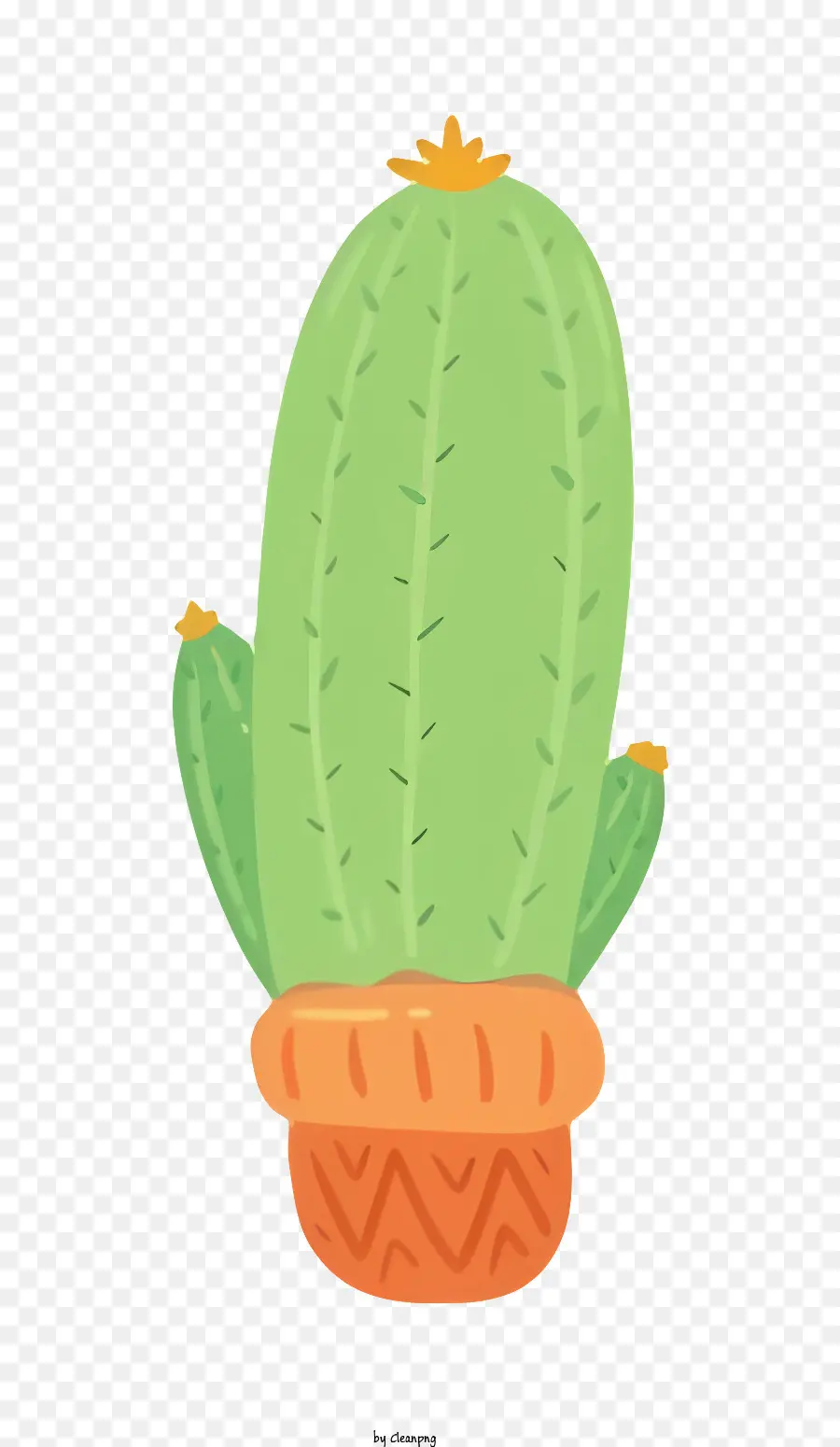 Cactus，Planteur PNG