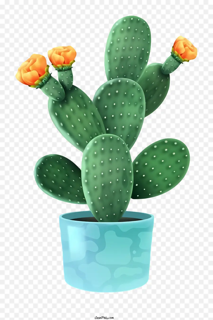 Pot Cactus，Fleur Jaune PNG