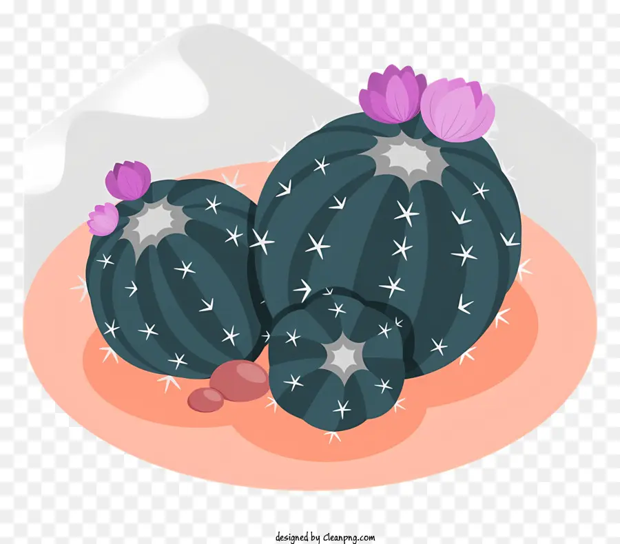 Cactus，Fleurs Roses PNG