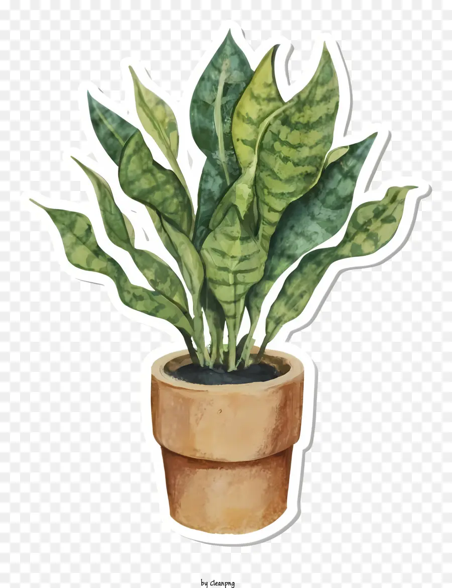 Peinture à L'aquarelle，Plante En Pot PNG