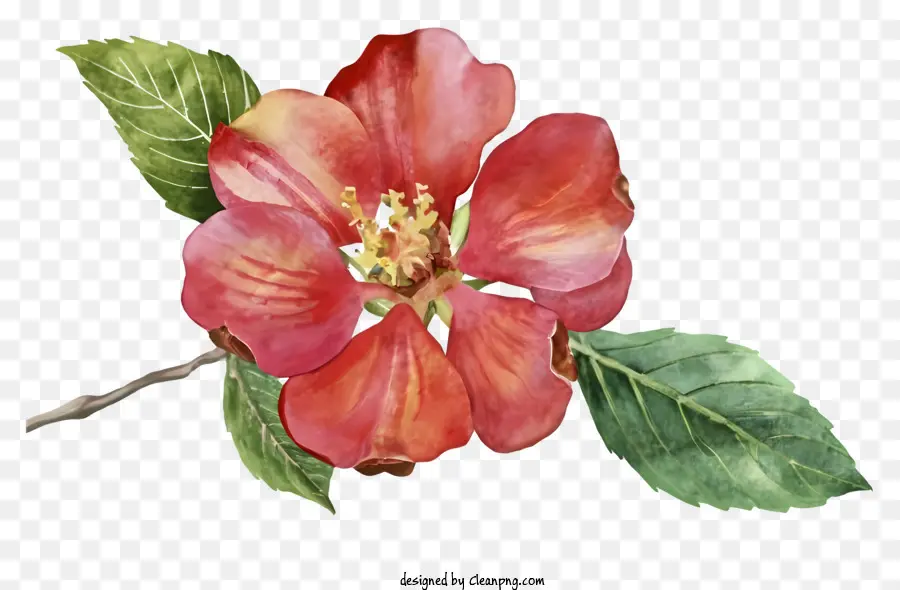 Rose Rouge，Feuilles Vertes PNG