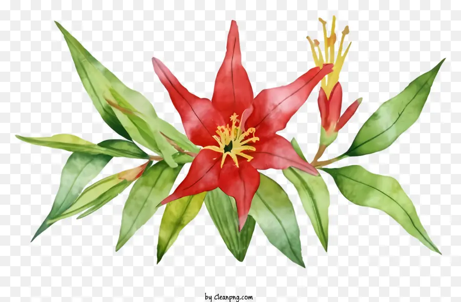 Fleur Rouge，Longues Feuilles Vertes PNG