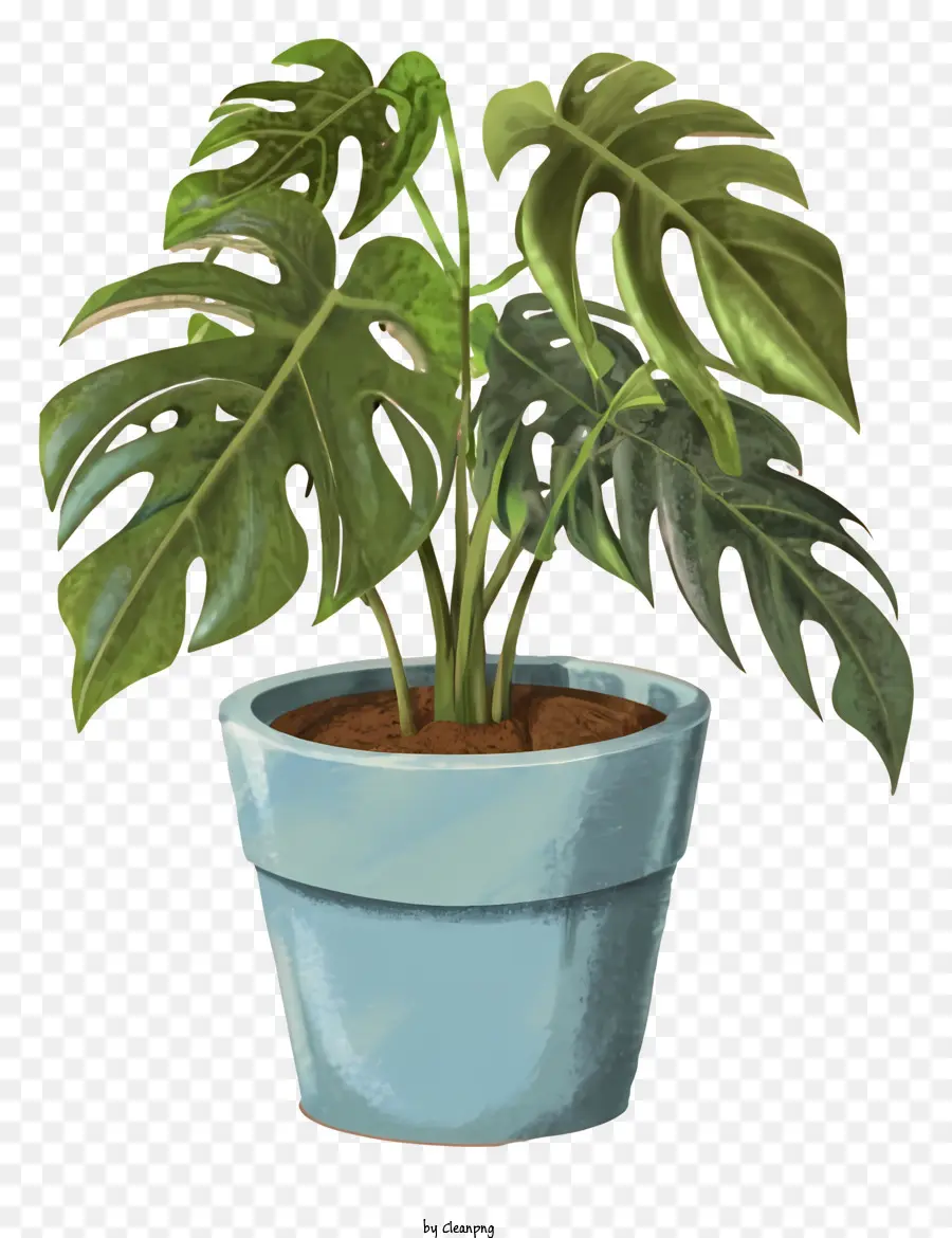 Petite Plante En Pot，Plante En Pot PNG