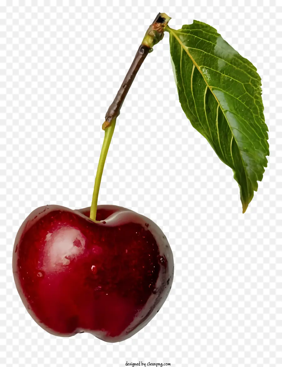 Rouge Cerise，Cherry Mûre PNG