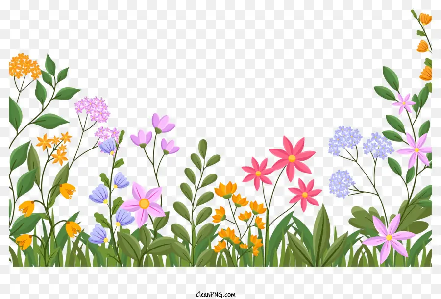 Fleurs Colorées，Jardin PNG