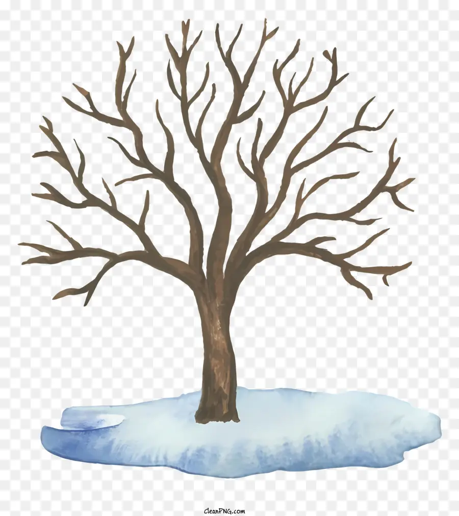 Arbre D'hiver，Arbre Enneigé PNG