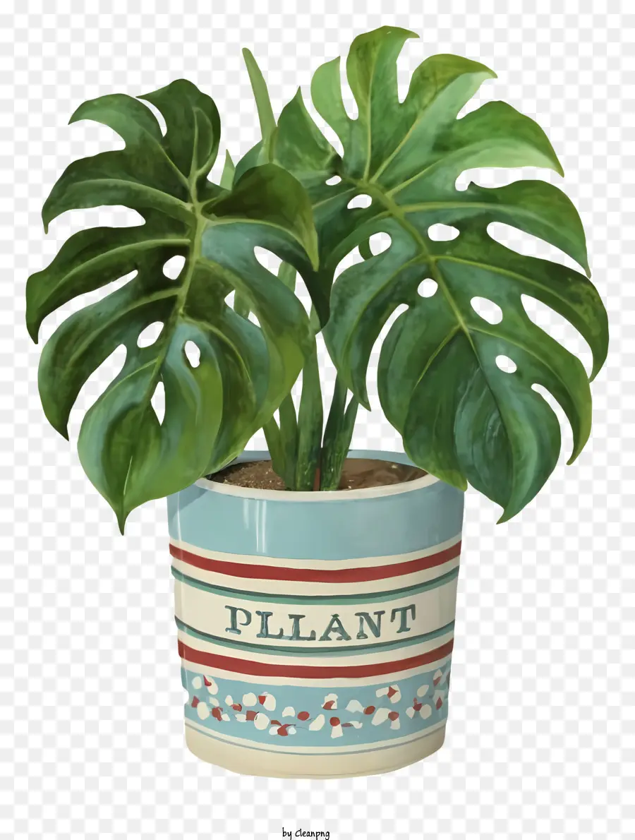 Petite Plante En Pot，Grande Plante Verte Feuillue PNG