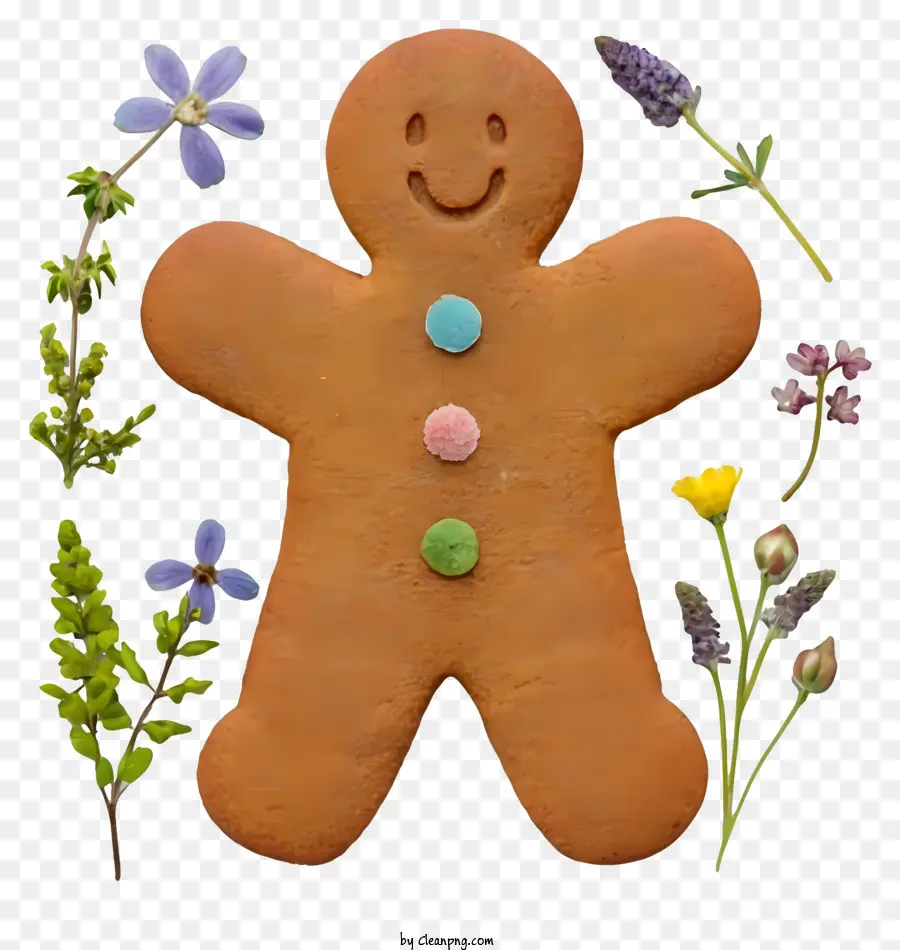 Homme De Pain D'épice，Cookie PNG