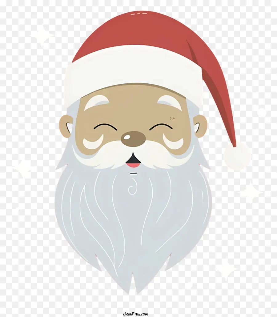 Visage Du Père Noël，Le Père Noël PNG