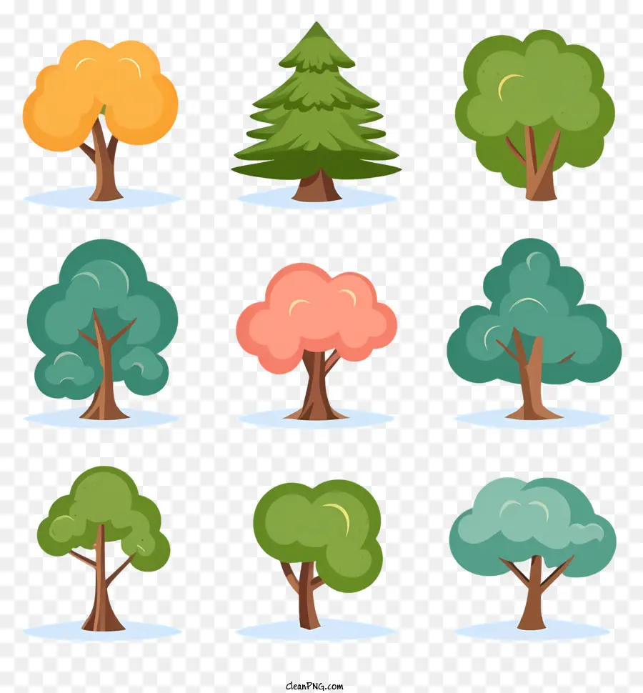 Arbres à Différentes Saisons，Types D'arbres PNG
