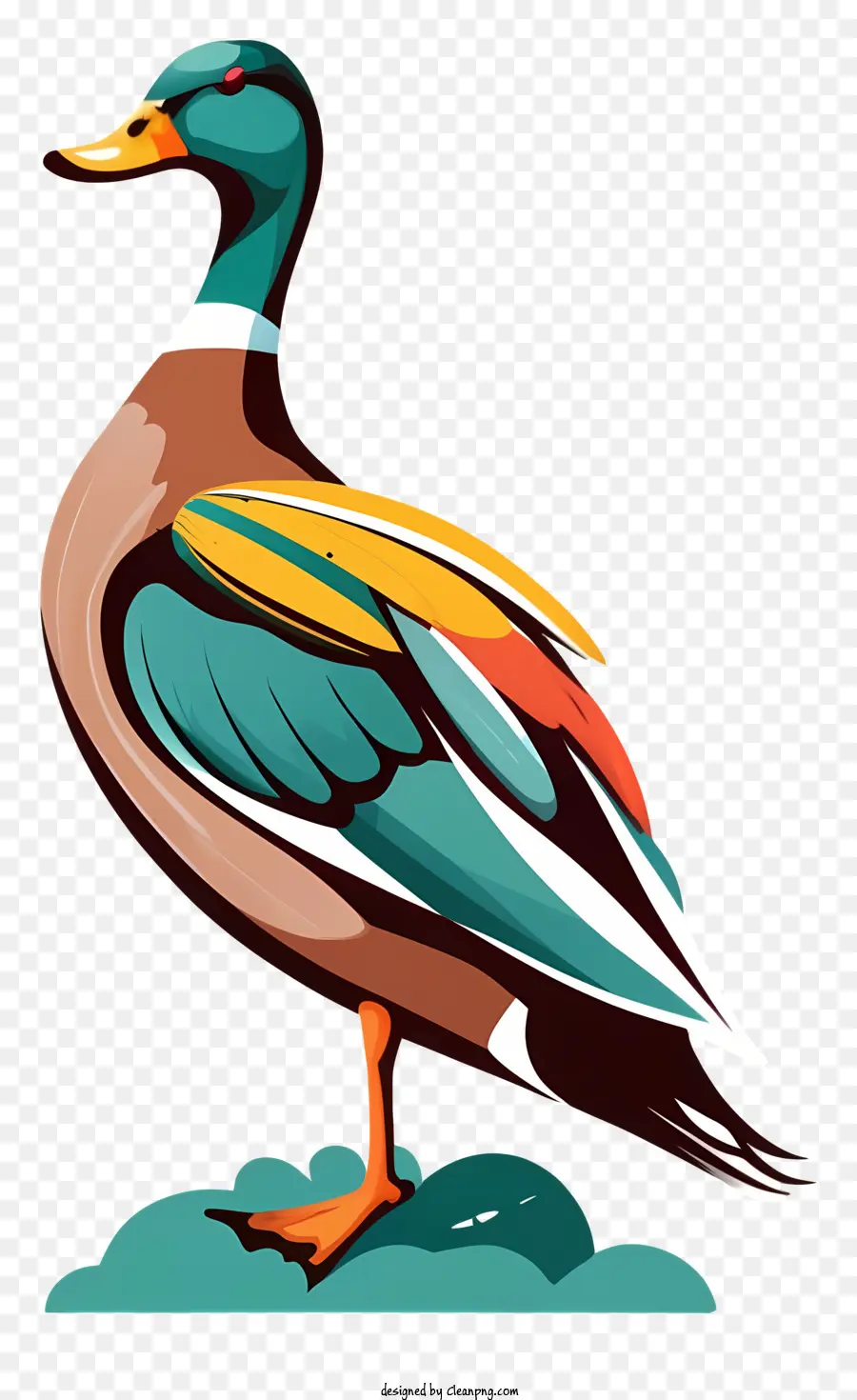 Oiseau Coloré，Bec Long PNG