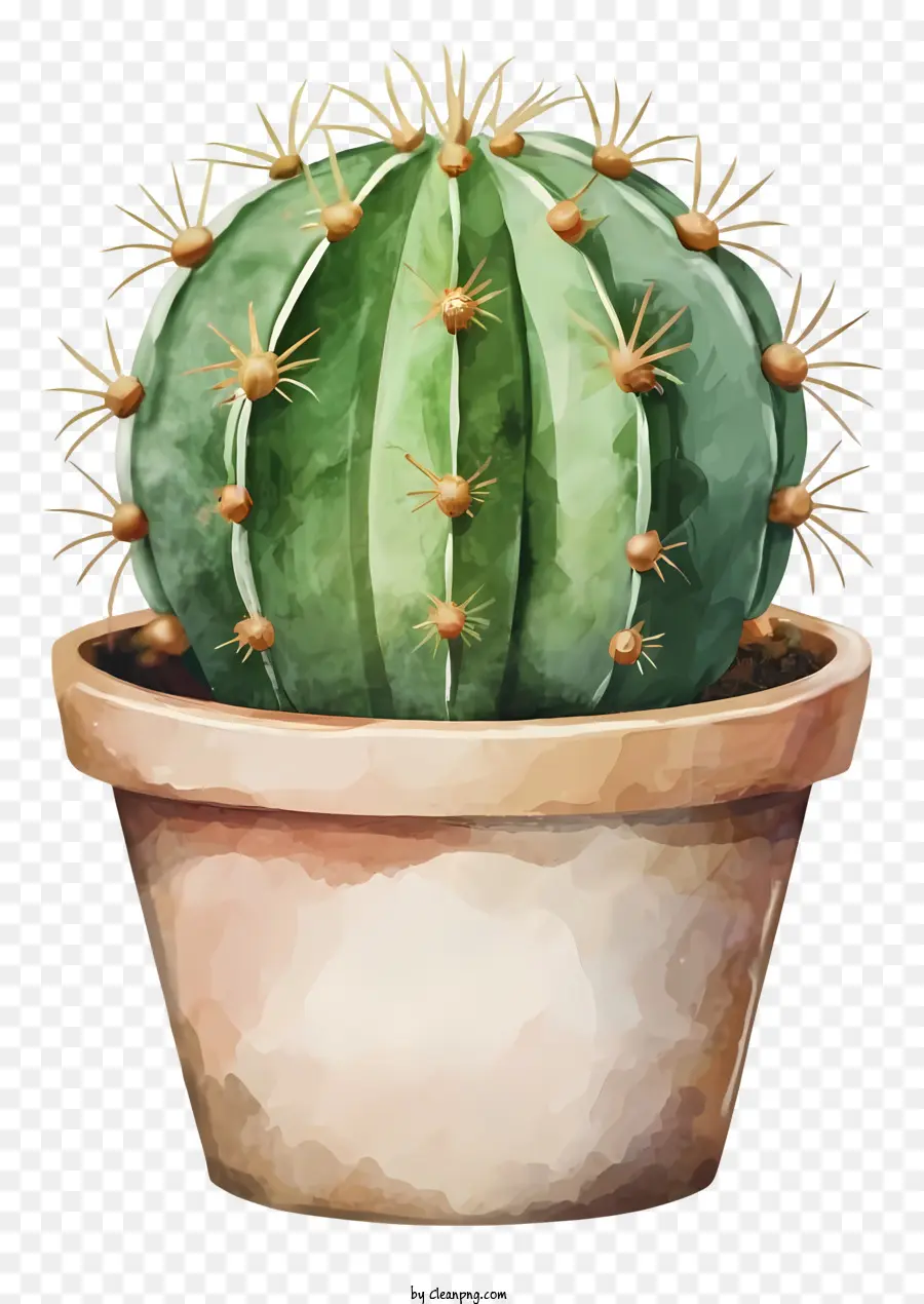 Cactus，Fleur PNG