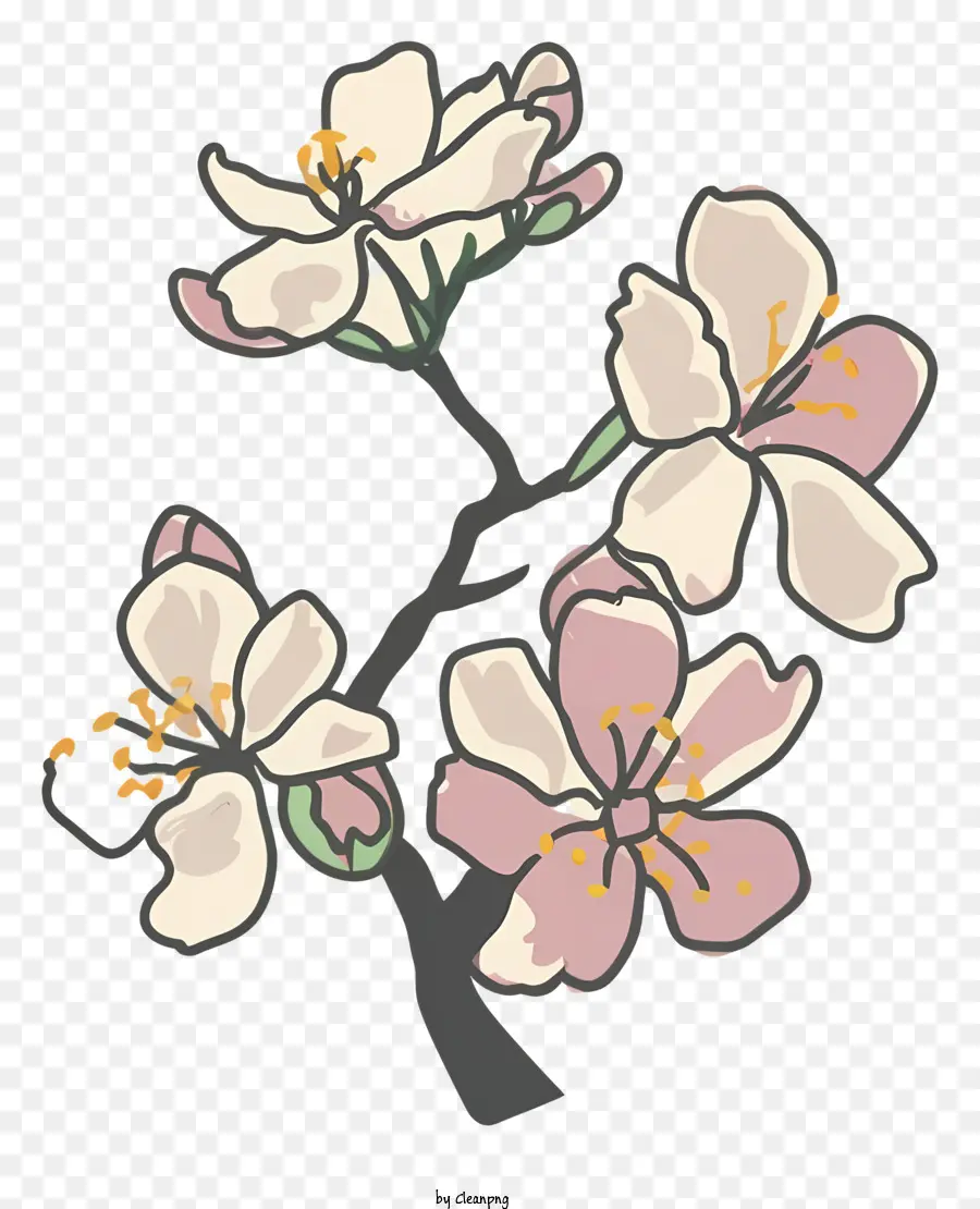 Branche Avec Des Fleurs，Fleurs Blanches PNG