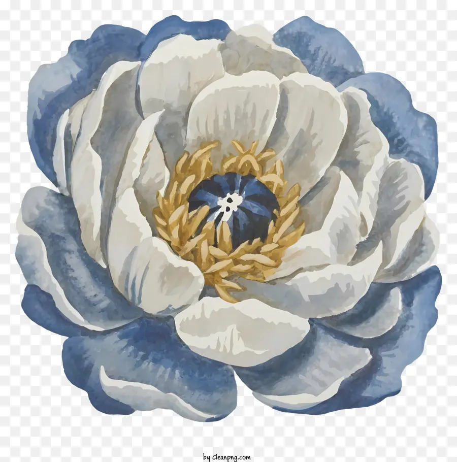 Fleur Bleue Et Blanche，Pétales En Spirale PNG