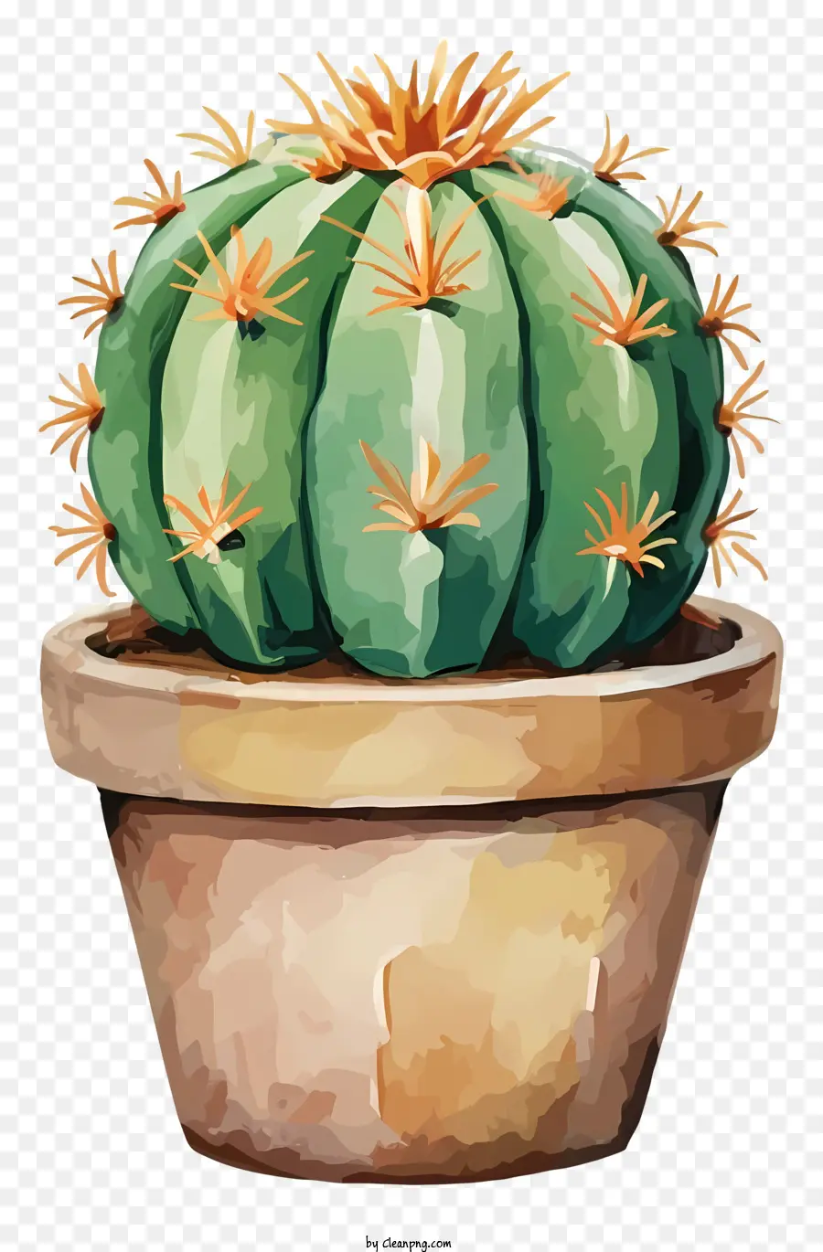 Cactus Coloré，Cactus Dans Un Pot PNG