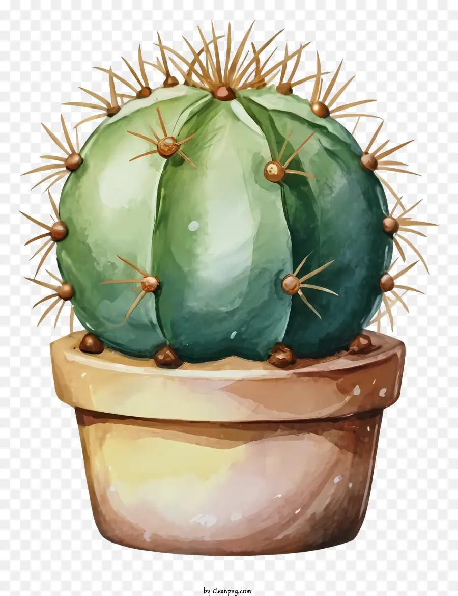 Cactus，Grandes Feuilles Rondes PNG