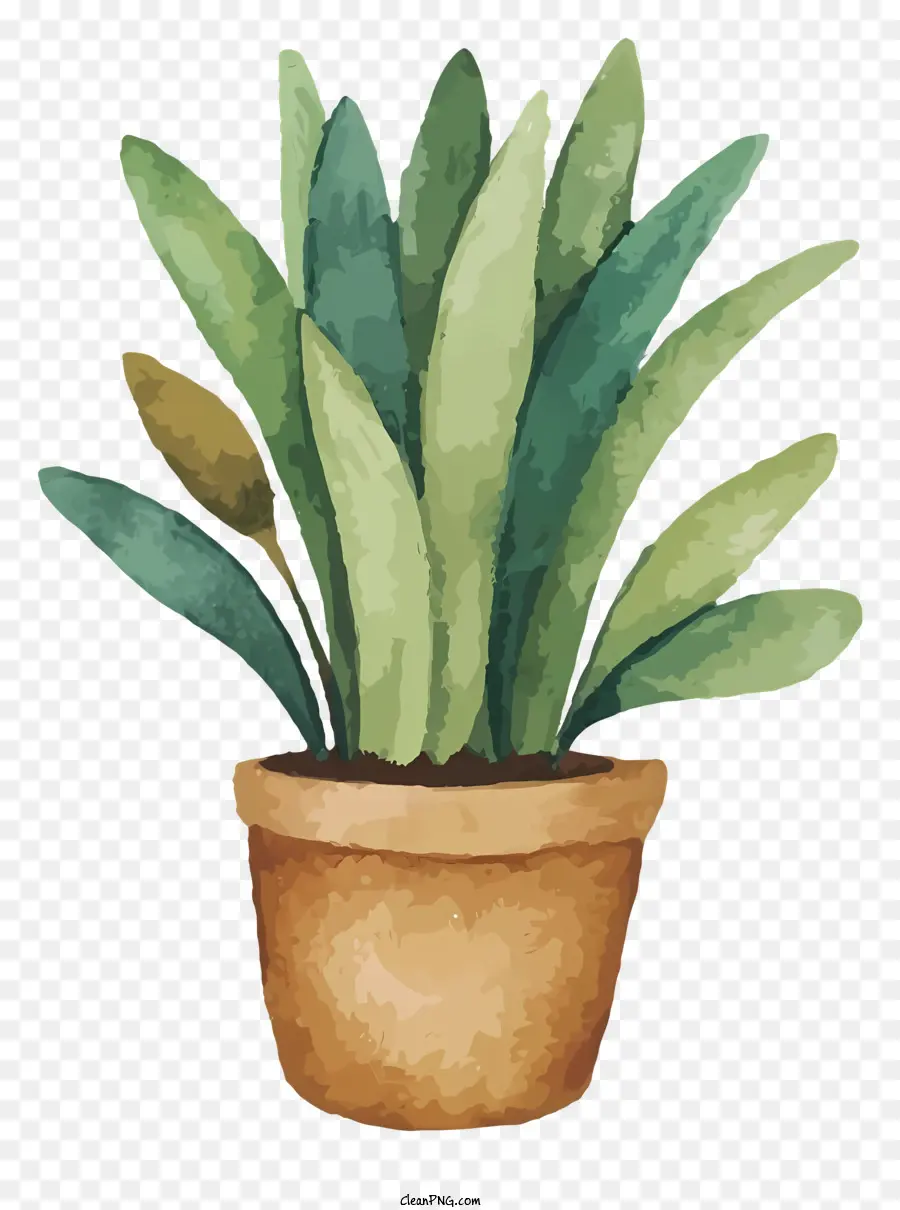 Plantes Vertes，Motif Symétrique PNG