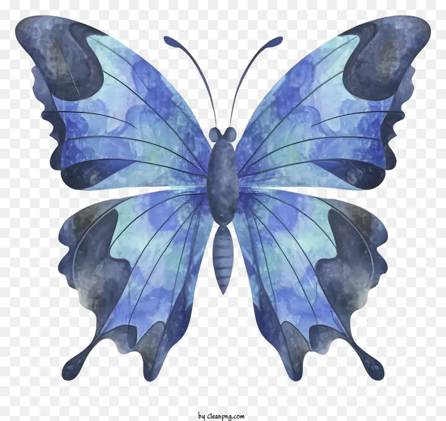Papillon Bleu，Grandes Ailes PNG