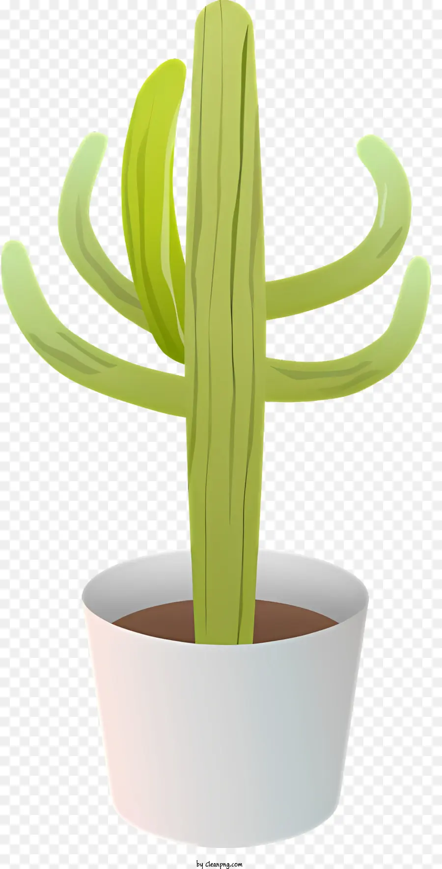 Cactus，Blanc Pot PNG