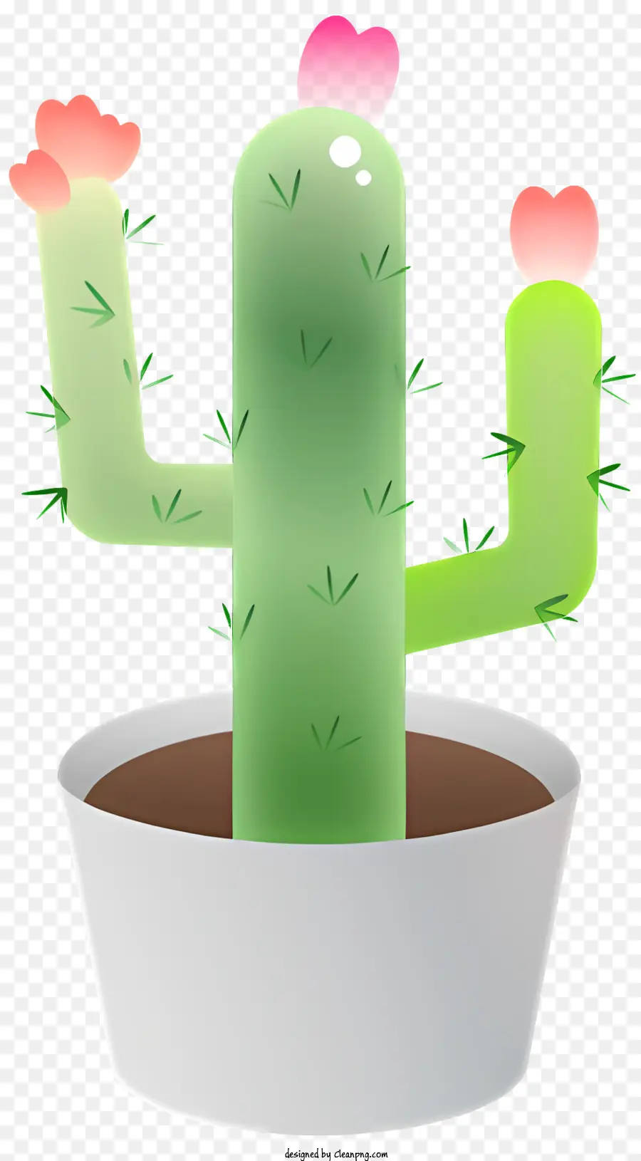 Cactus，Blanc Pot PNG