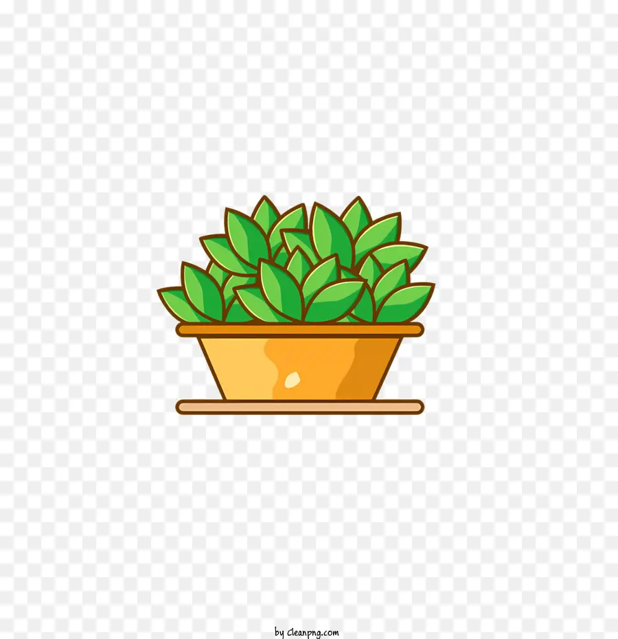 Plante Verte，Pot PNG