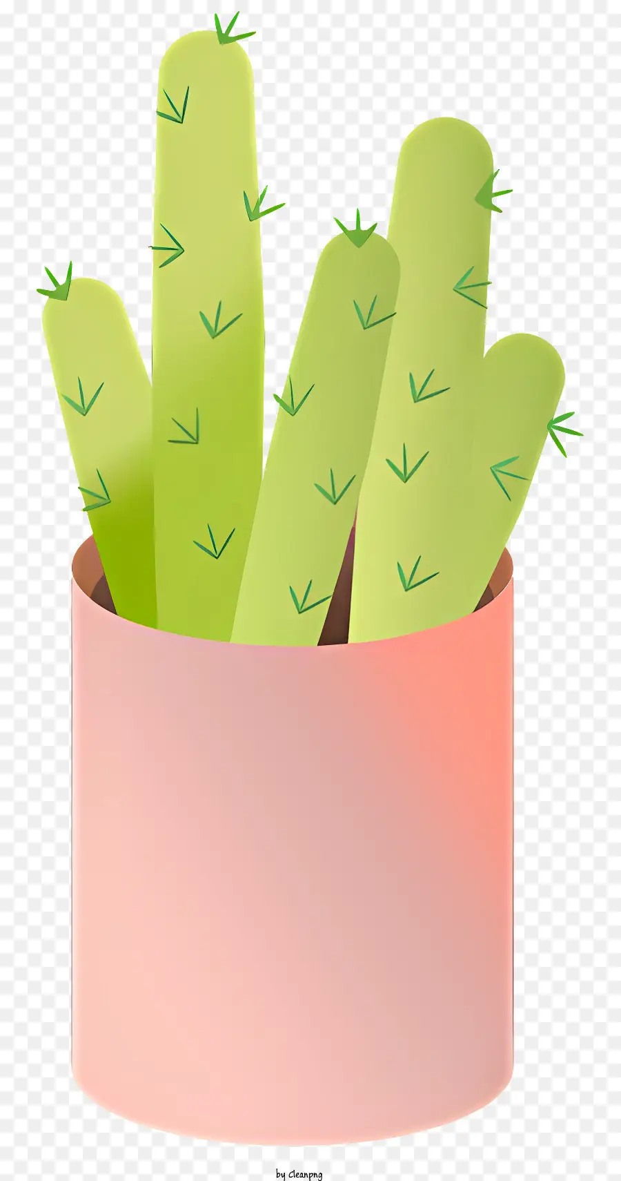 Cactus Plantes，Feuilles Hérissées PNG