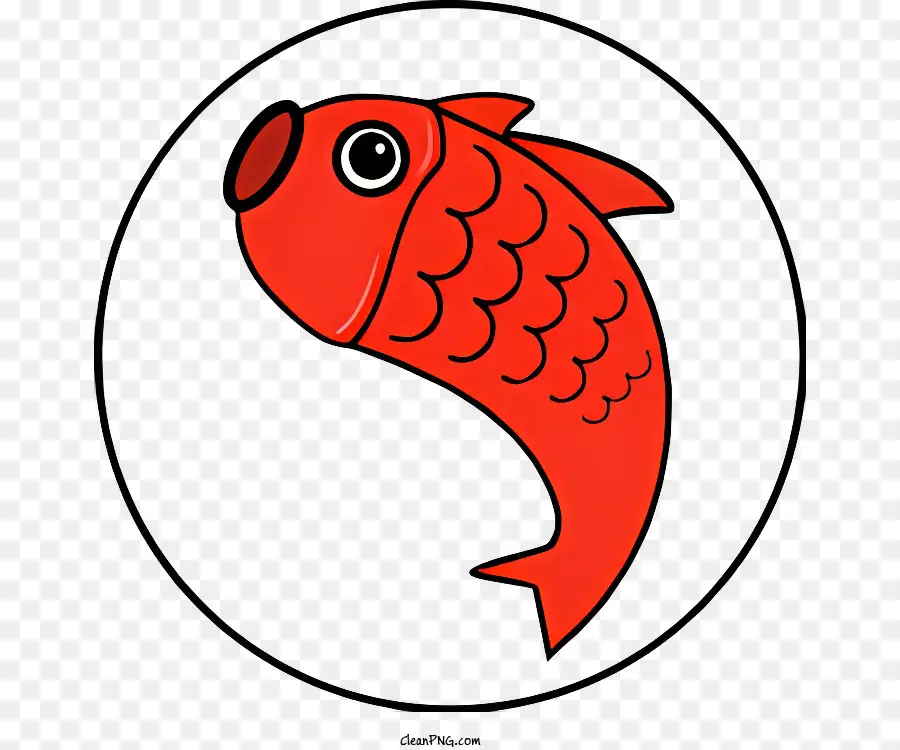 Poisson Rouge，Poisson PNG