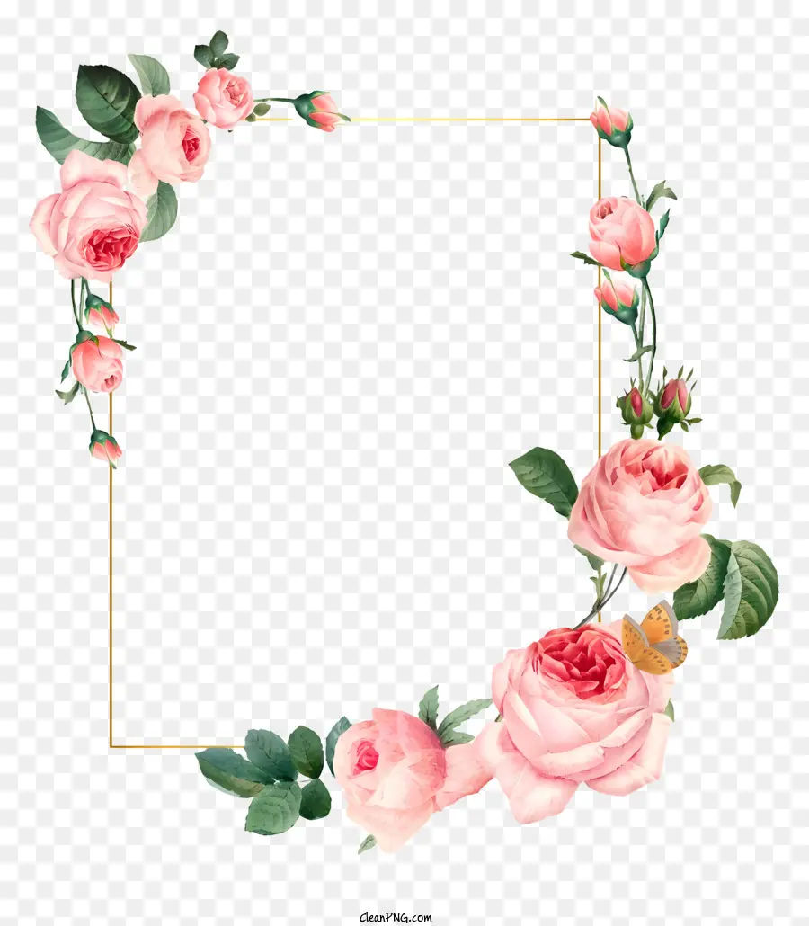 Rose Cadre，Cadre Floral PNG