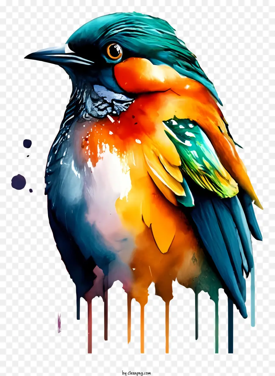 Peinture Numérique，Oiseau Coloré PNG