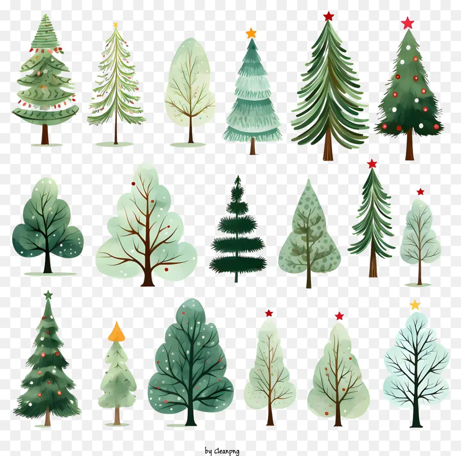 Arbres De Noël，Pin PNG