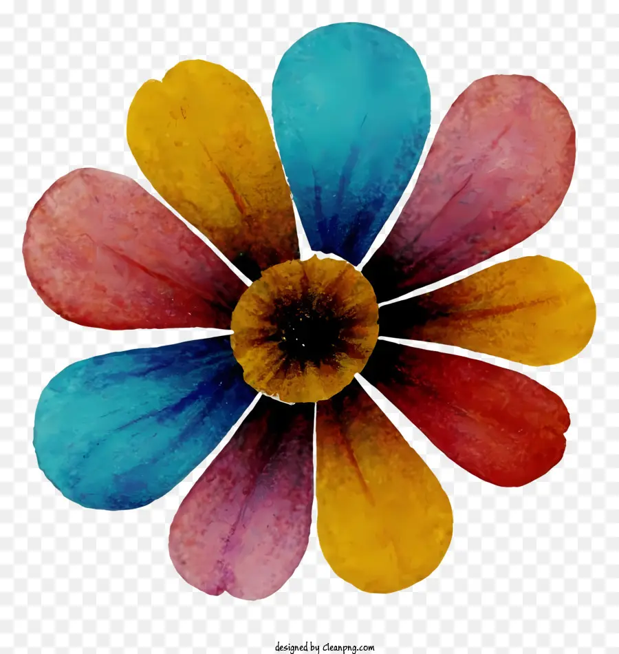 Fleur Multicolore，La Cire De Fleur PNG