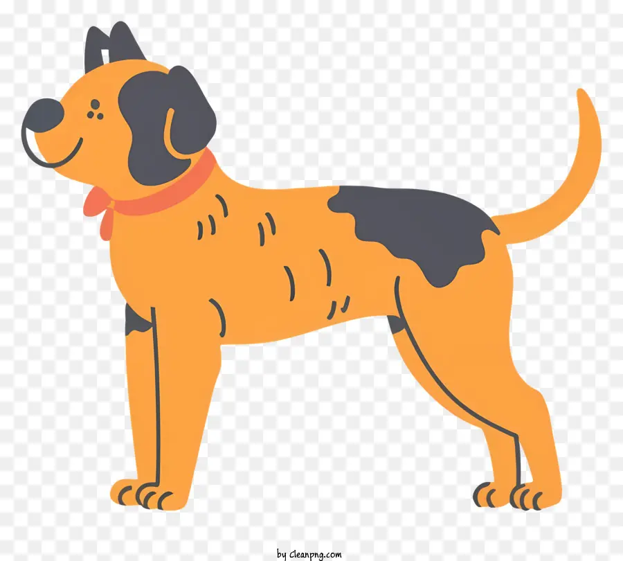 Chien，Chien Orange PNG