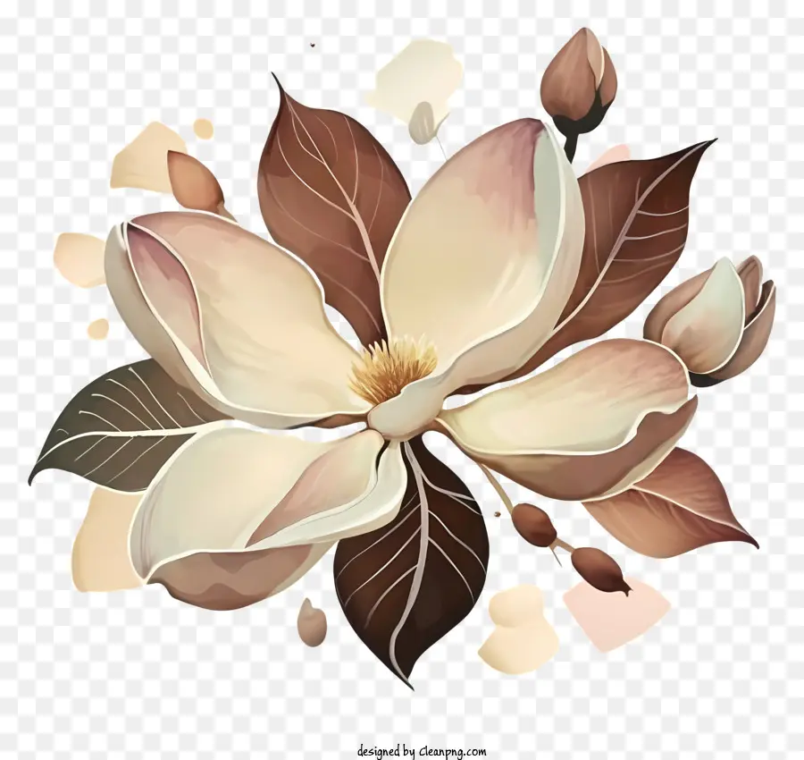 Illustration Aquarelle，Fleur PNG