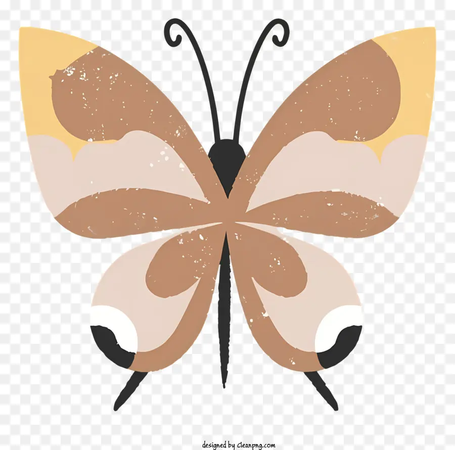 Papillon，Brun Papillon PNG