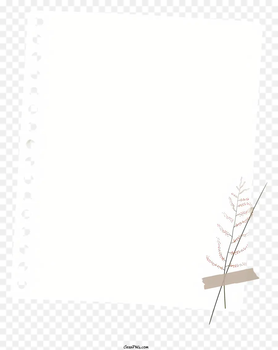 Livre Blanc，Cadre Minimaliste PNG